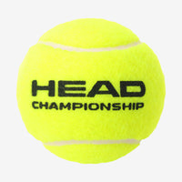 Championship Tennis Balls (Tube of 4)